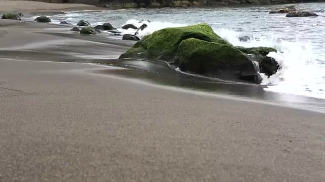 Beach Video